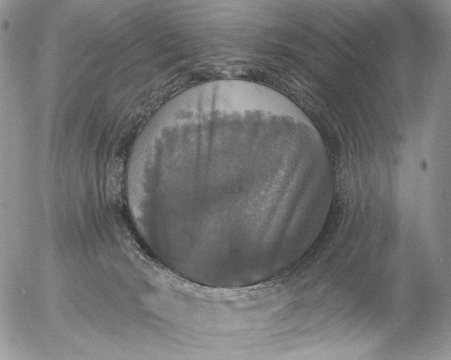 X0000057070030200509231609
