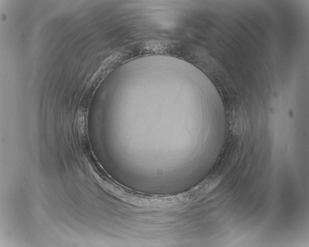 X0000057070036200509231609