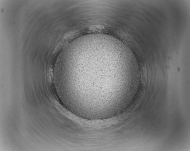 X0000057070038200509231609