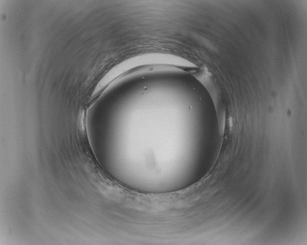 X0000057070041200509231609
