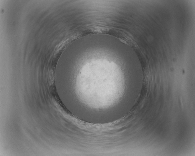 X0000057070043200509231609