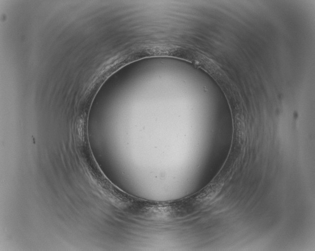 X0000057070071200509231609
