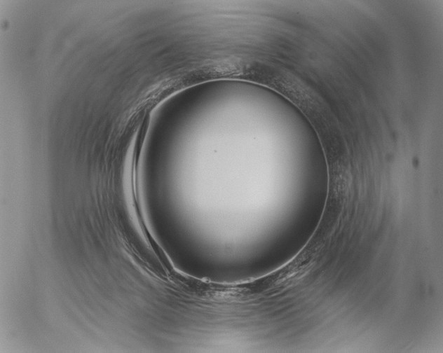 X0000057070072200509231609