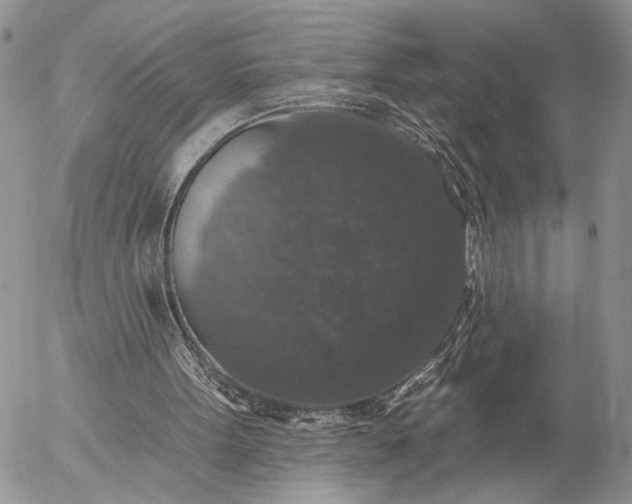 X0000057070099200509231608