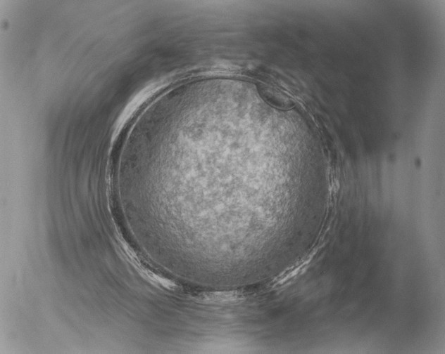 X0000057070102200509231608