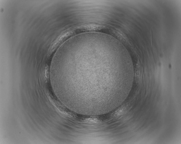 X0000057070119200509231608