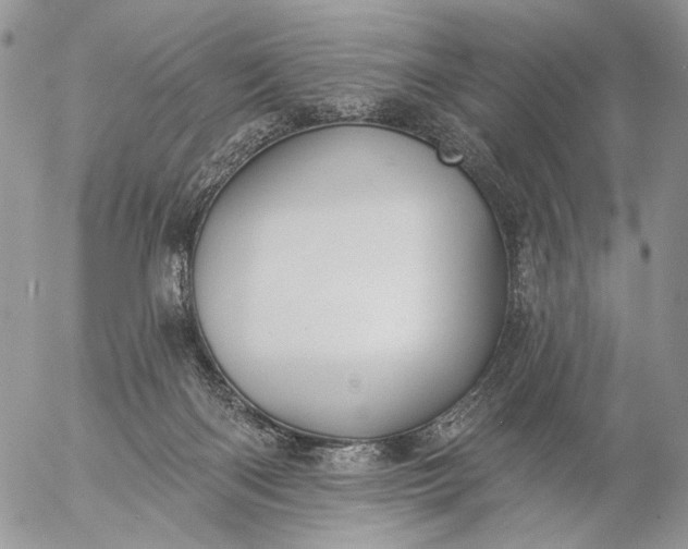 X0000057070122200509231608