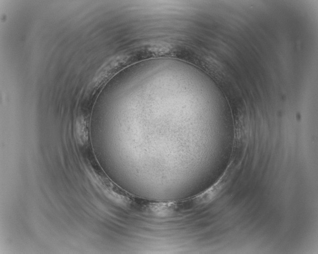 X0000057070136200509231608