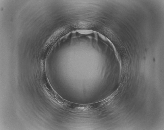 X0000057070167200509231607