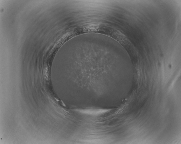 X0000057070224200509231606