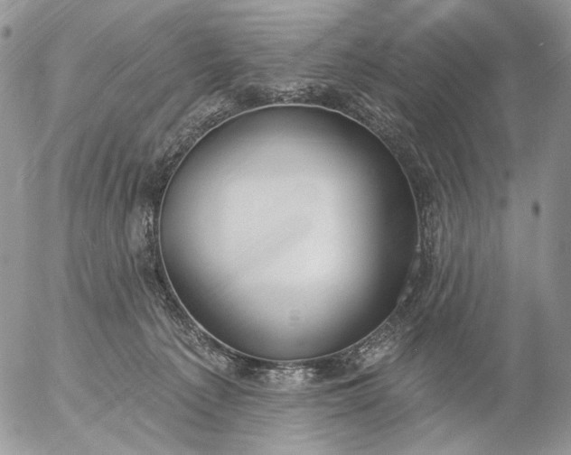 X0000057070225200509231606