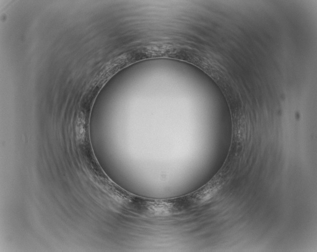 X0000057070226200509231606