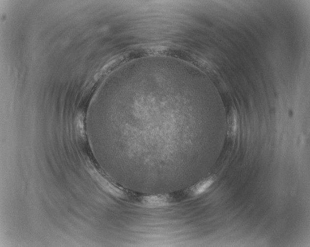X0000057070238200509231606