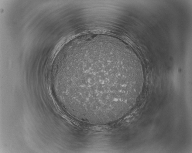 X0000057070241200509231605