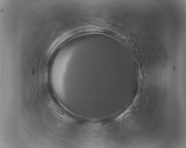 X0000057070247200509231605