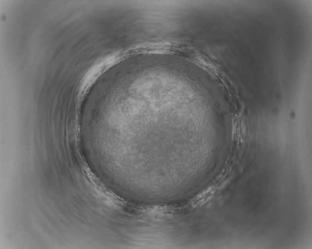 X0000057070293200509231605