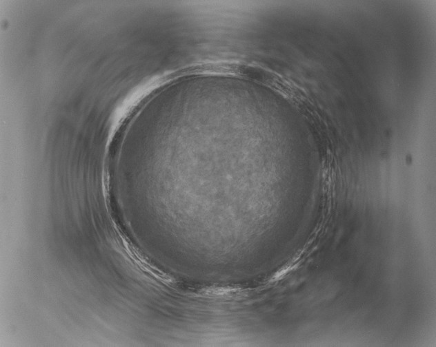 X0000057070294200509231605