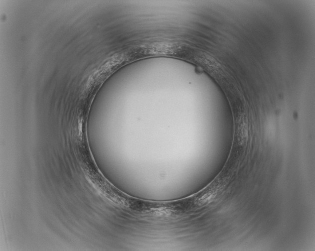 X0000057070310200509231605