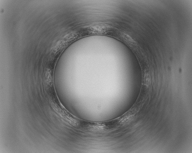 X0000057070318200509231604