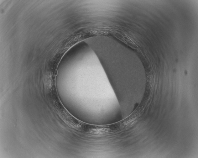 X0000057070323200509231604