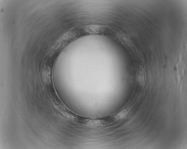 X0000057070332200509231604