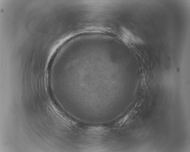 X0000057070342200509231603