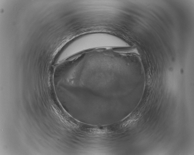 X0000057070347200509231604