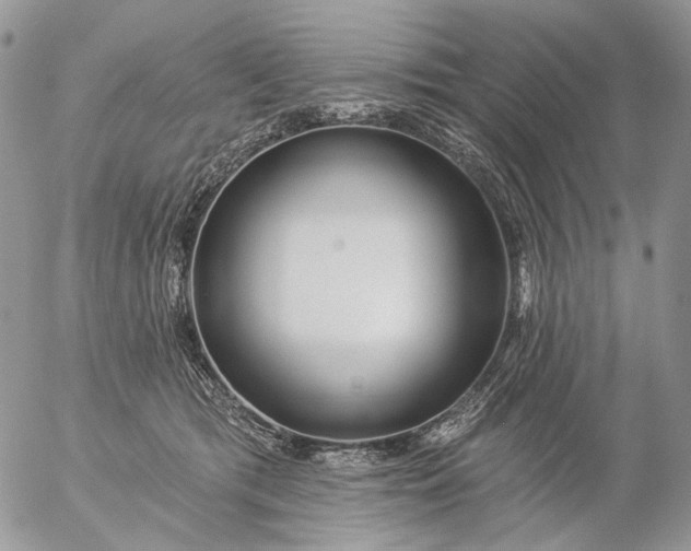 X0000057070417200509231603