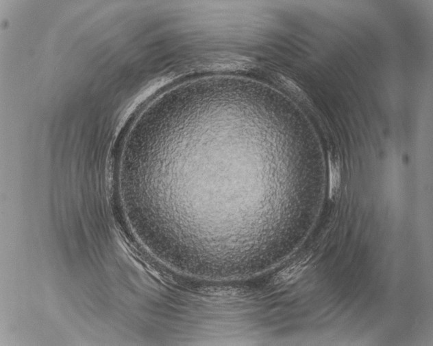 X0000057070435200509231602