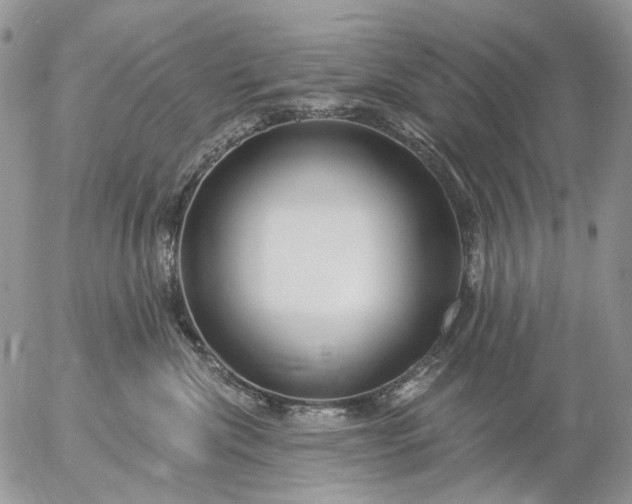 X0000057070476200509231602