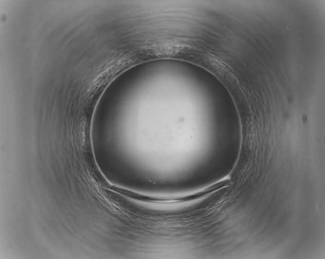 X0000057070501200509231601