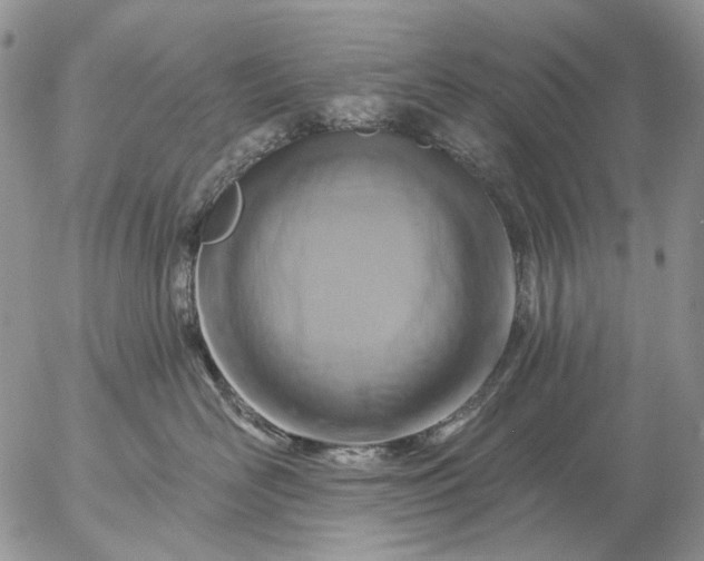 X0000057070526200509231601