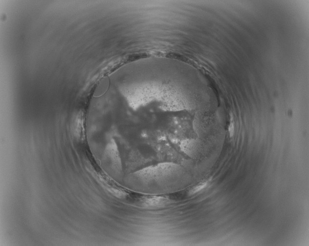 X0000057070527200509231601