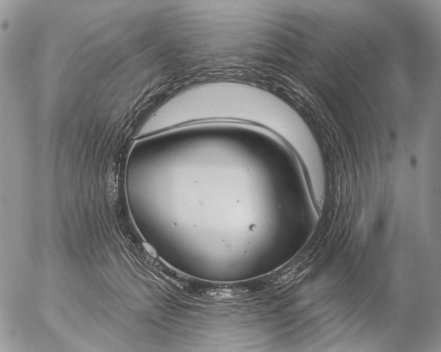 X0000057070558200509231601