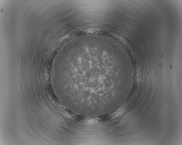 X0000057070569200509231601