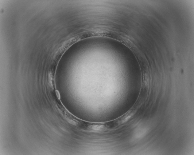 X0000057070575200509231601