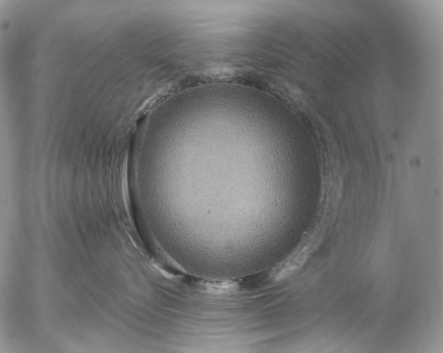 X0000057070576200509231601