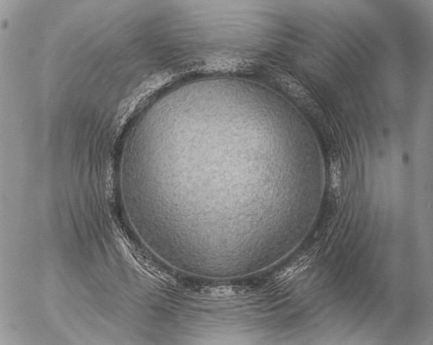 X0000057070588200509231600