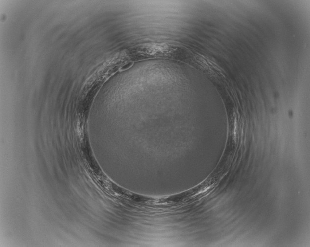 X0000057070607200509231600