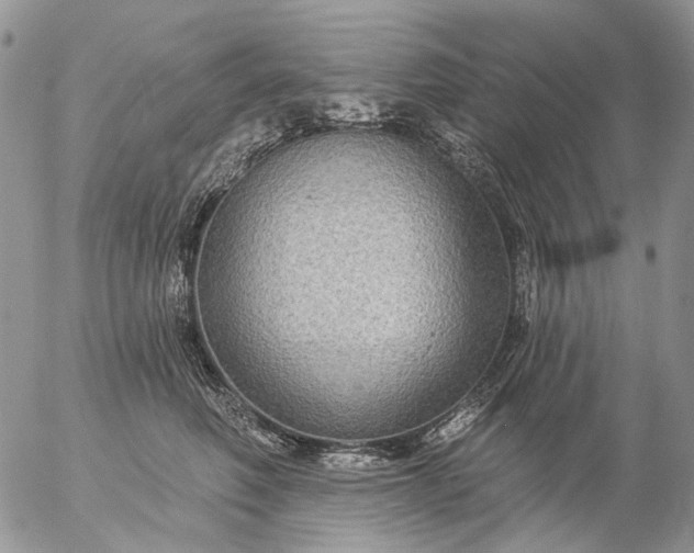 X0000057070614200509231559