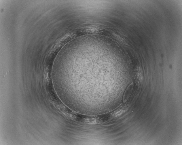 X0000057070615200509231559