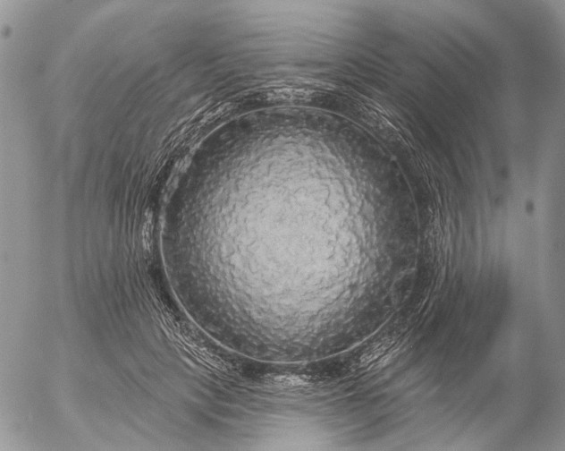 X0000057070649200509231559
