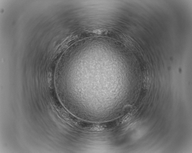 X0000057070656200509231559