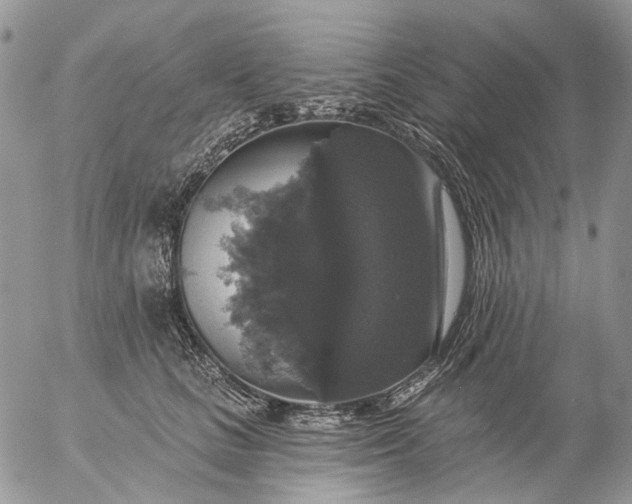 X0000057070661200509231559