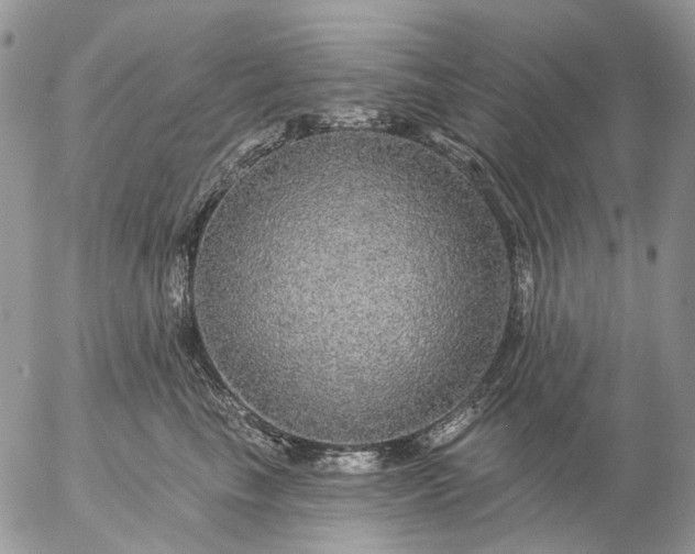 X0000057070665200509231559