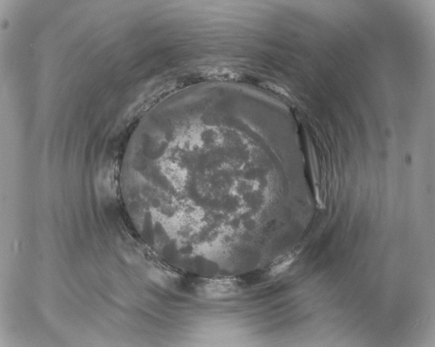 X0000057070671200509231559