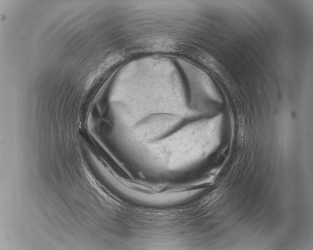 X0000057070677200509231558