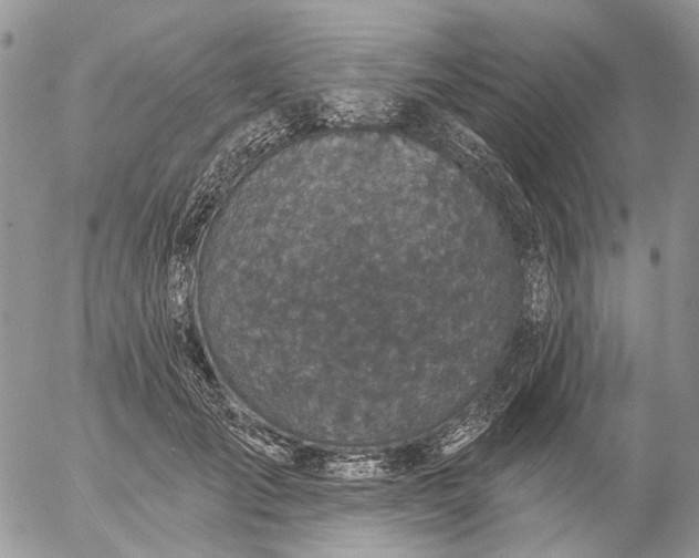 X0000057070701200509231558