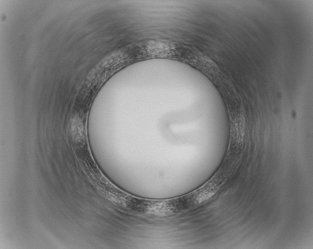 X0000057070705200509231558
