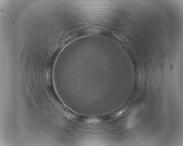 X0000057070759200509231558